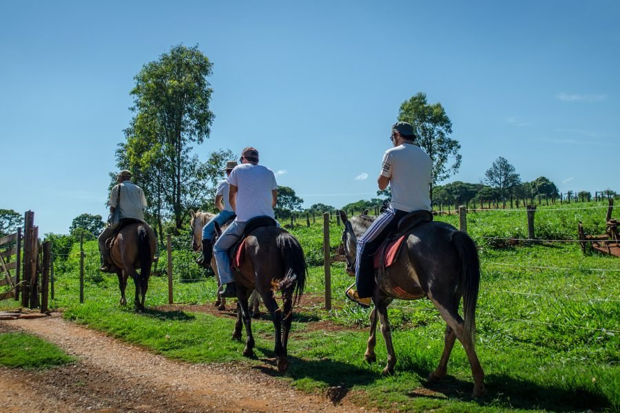 Medellin Coffee Farm Tour with Horseback Riding & Coffee Spa