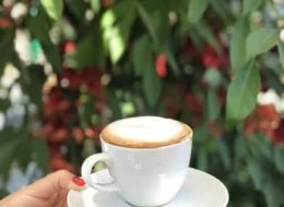 Medellin Coffee Tour