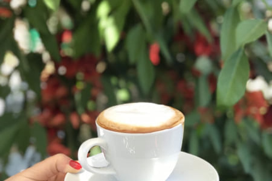 Medellin Coffee Tour with Farm Experience, Tastings and  Transport