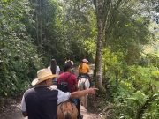 Horse Riding in Jardín