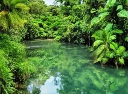 Private mountain tour from Medellín