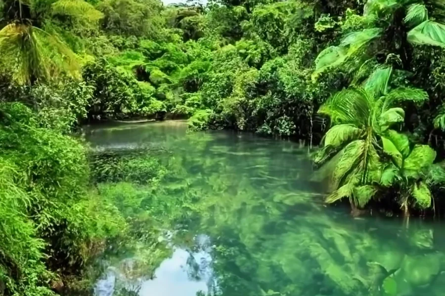 Private mountain tour from Medellín — jungle river and natural pools in Cocorná, Eastern Antioquia, Colombia